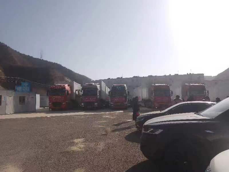 活动板房报价单